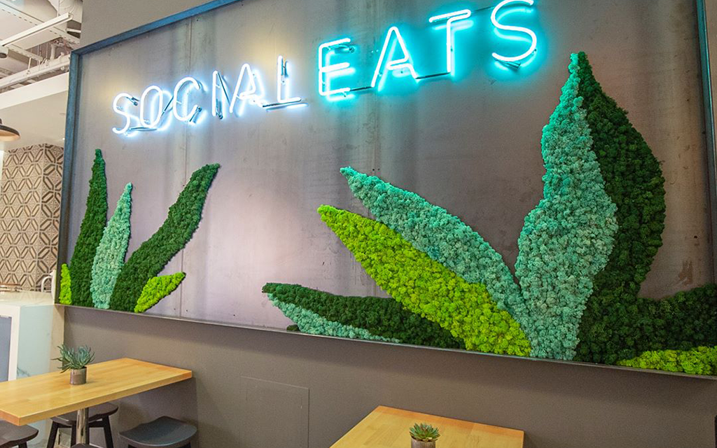 Best New Restaurants in LA
