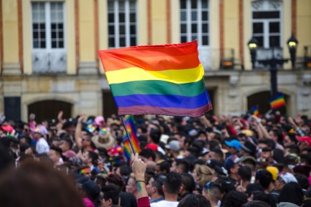 Many Genes Influence Same-Sex Sexuality