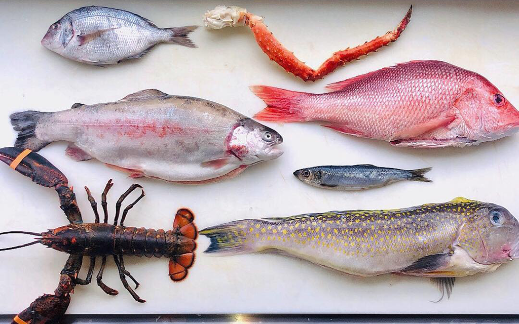 greenpoint fish
