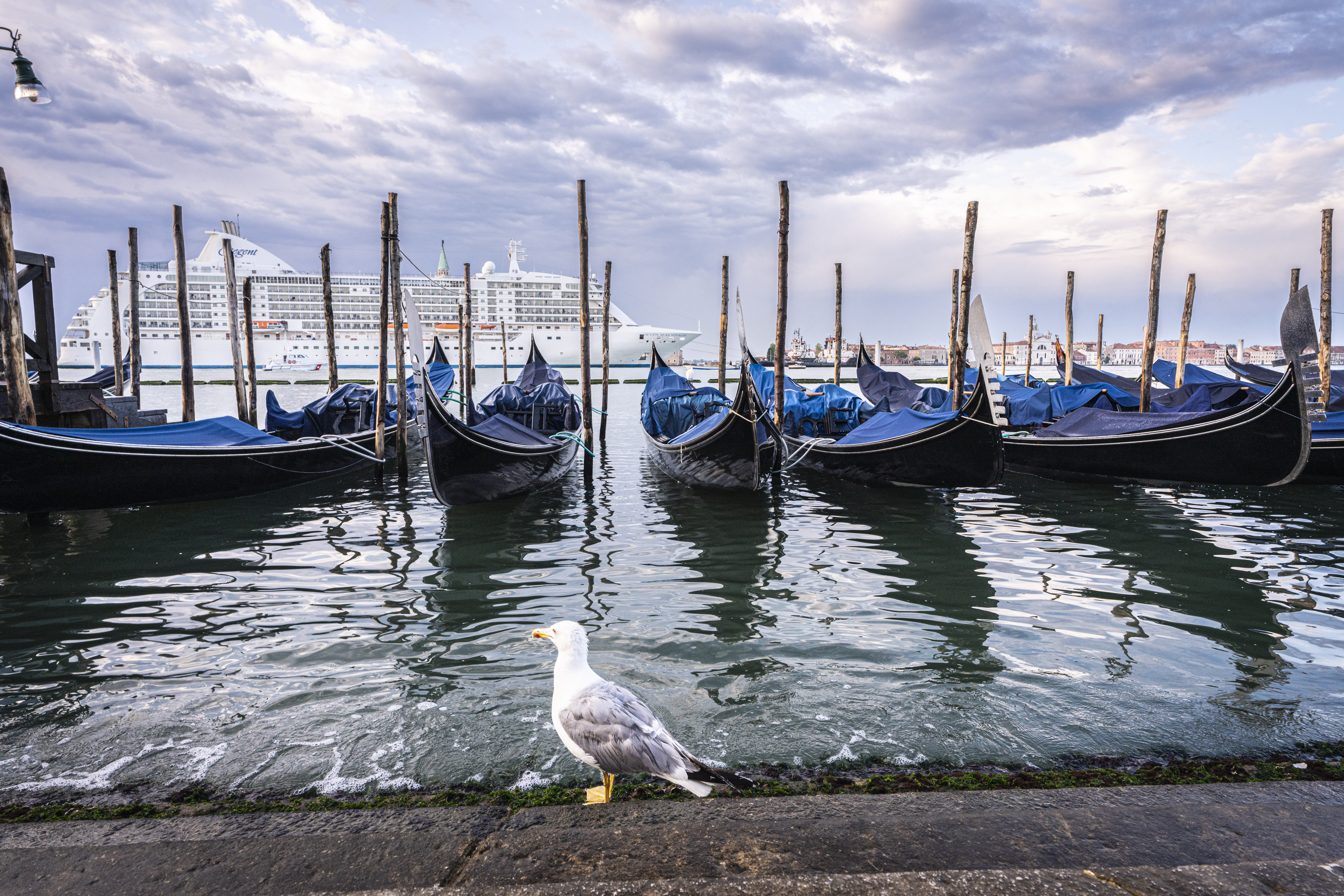 venice cruise ship