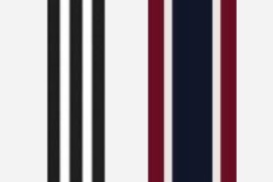 Adidas and J.Crew Stripes