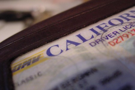 Driver's license