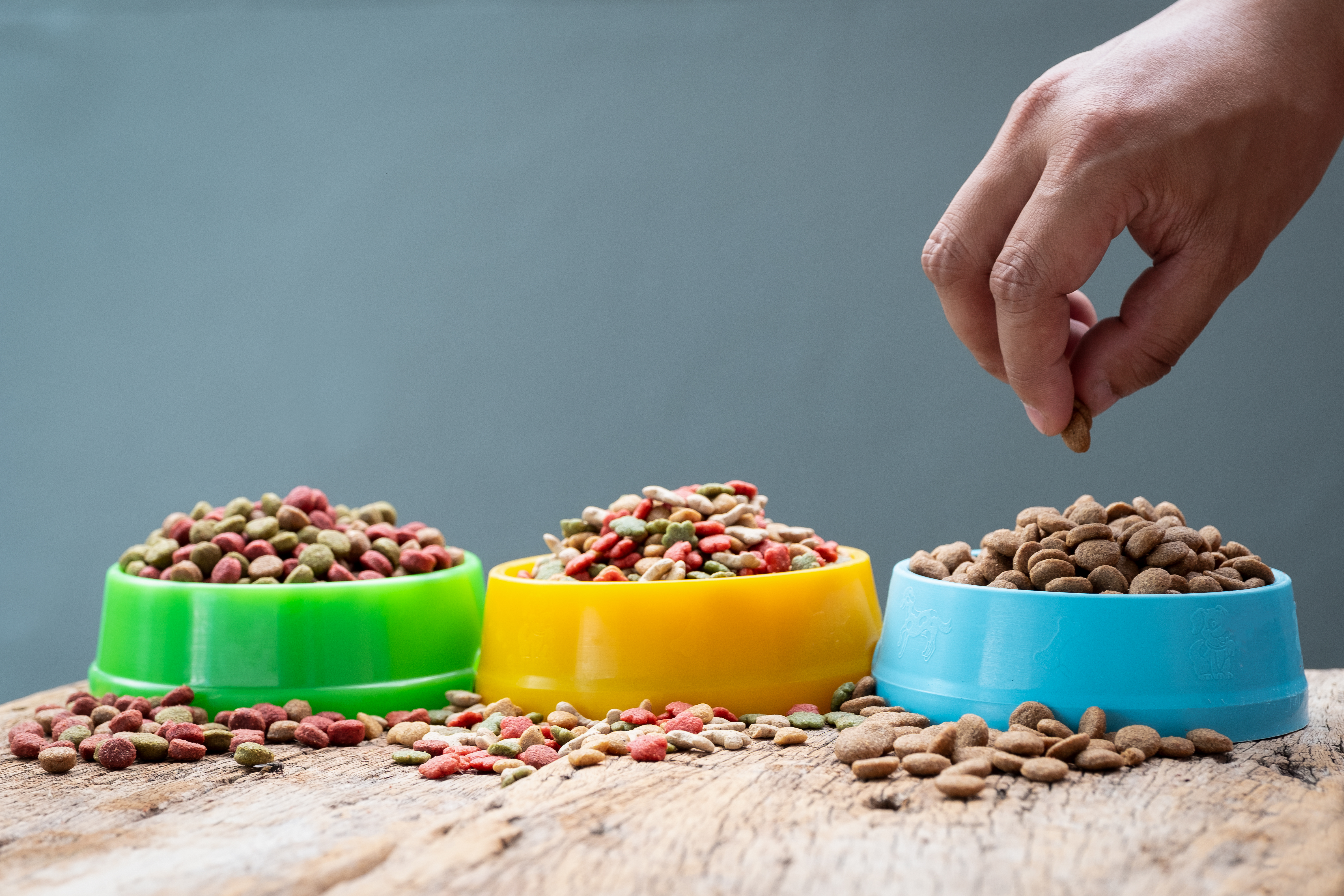 Vegan Pet Food