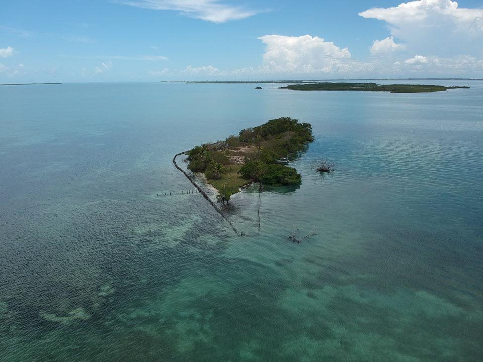 Coffee Island