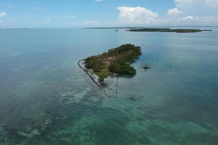 Coffee Island