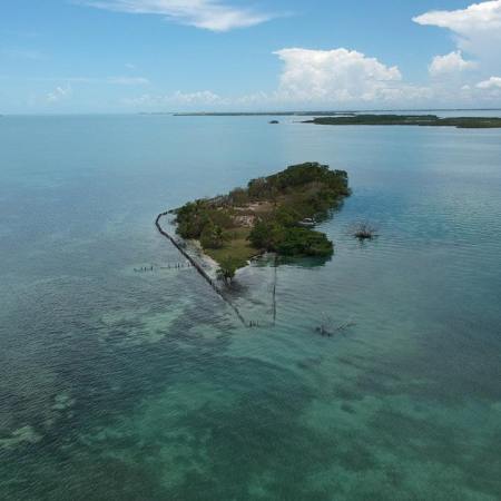 Coffee Island