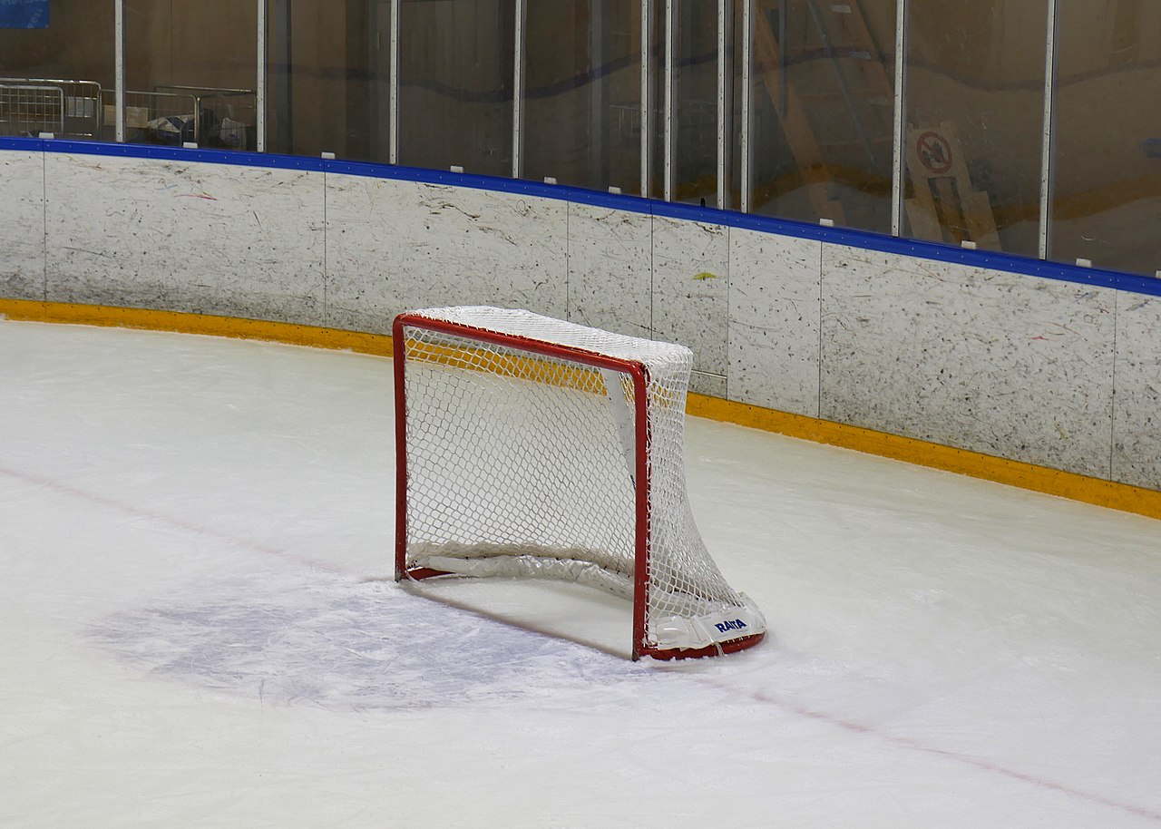Hockey goal