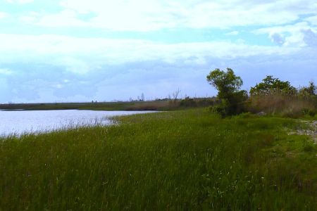 Meaher State Park