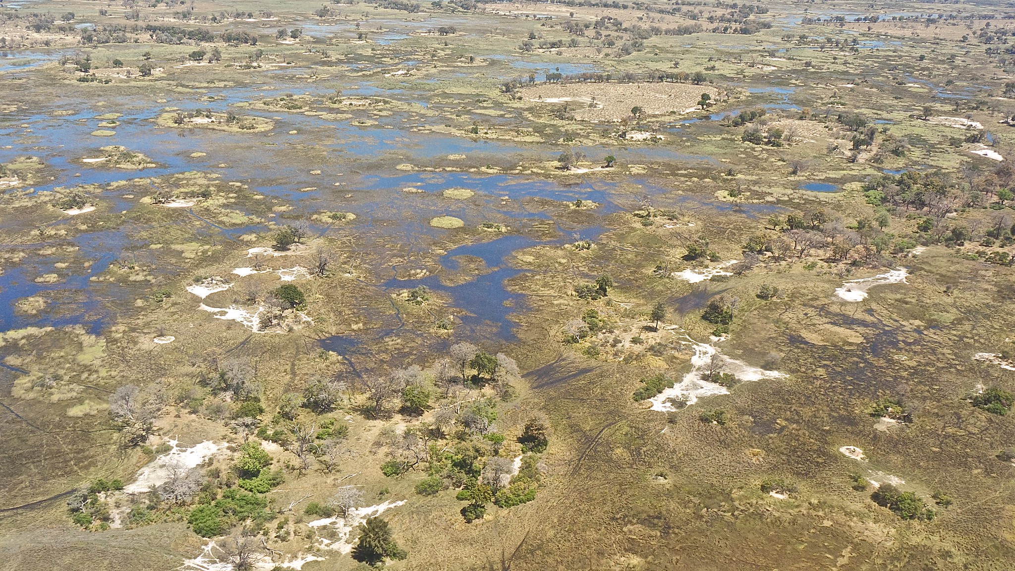 Okavango River