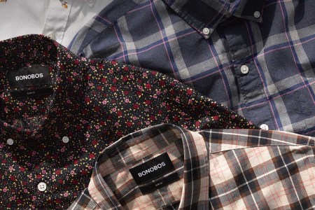 Bonobos