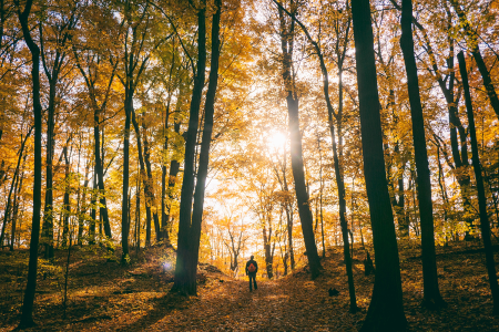 SF Fall Hikes