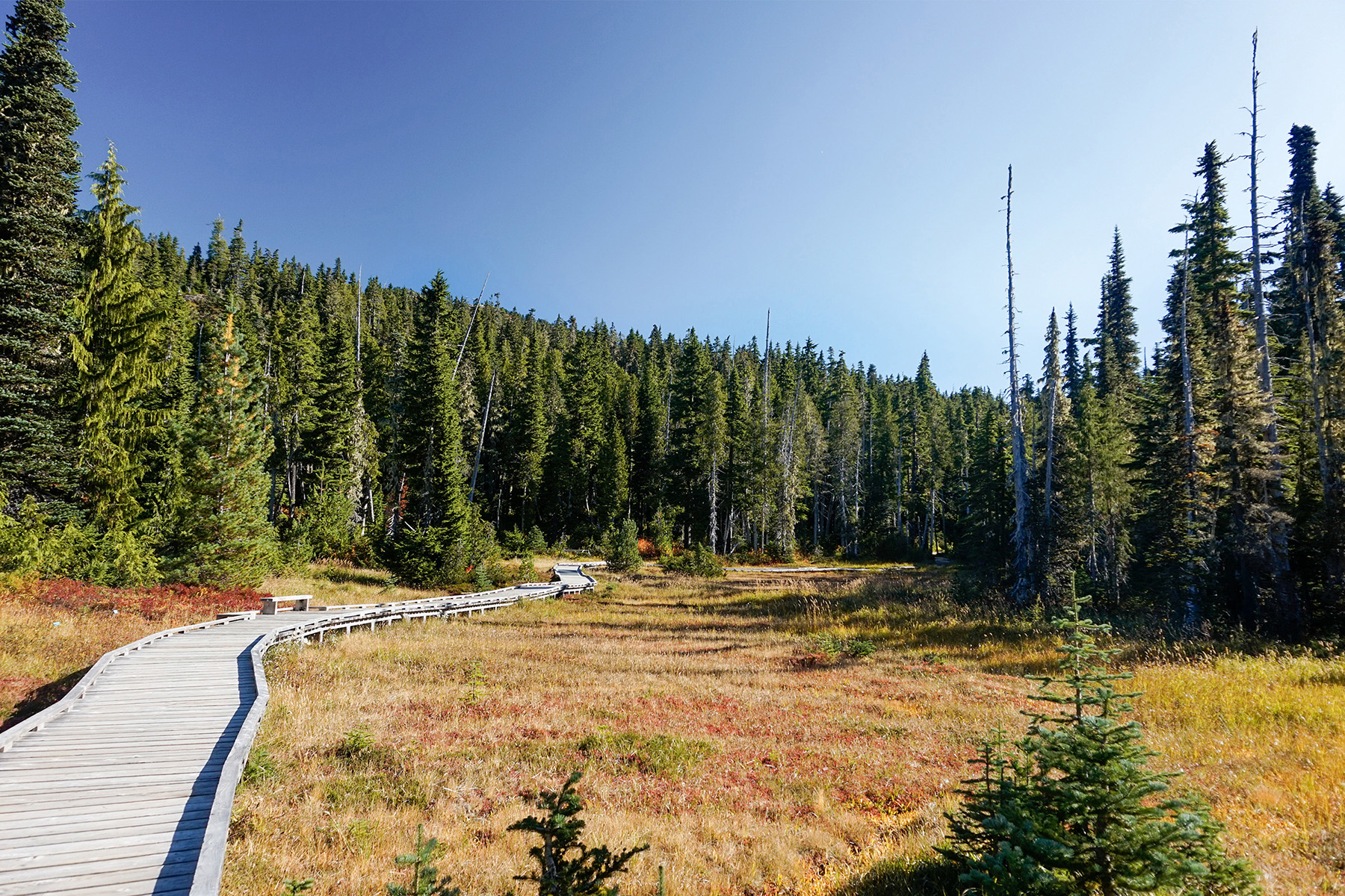 14. <strong>Courtenay, British Columbia</strong><br><strong>The skinny:</strong> 114% increase; eco-friendly base camp for adventures on Vancouver Island <br><strong>Choicest digs:</strong> <a href="https://www.airbnb.com/rooms/26717465?location=Courtenay%2C%20Canada&adults=1&source_impression_id=p3_1572464428_sM5rF2EEL2dvQ4Ph">Riverfront Farm Tiny Home</a>