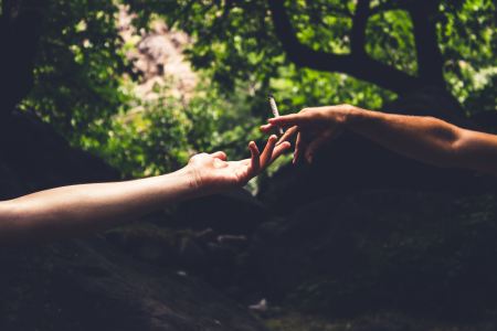 cannabis and sex