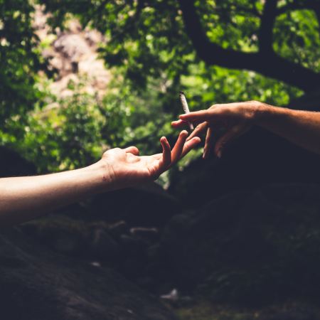 cannabis and sex