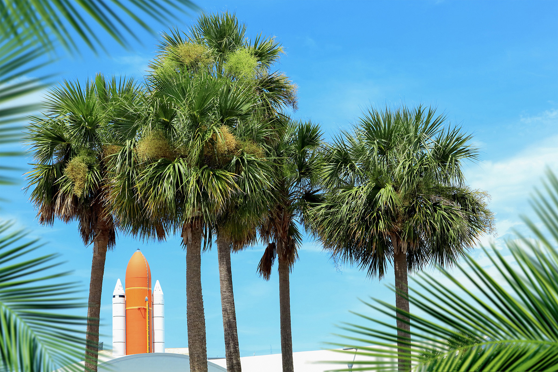 12. <strong>Cape Canaveral, Florida</strong><br><strong>The skinny</strong>: 136% increase; NASA launches its Mars 2020 Exploration program next June<br><strong>Choicest digs:</strong> <a href="https://www.airbnb.com/rooms/31651855?source_impression_id=p3_1572464245_qXIAg2jvcru2JXli">Tradewind Cottages</a>