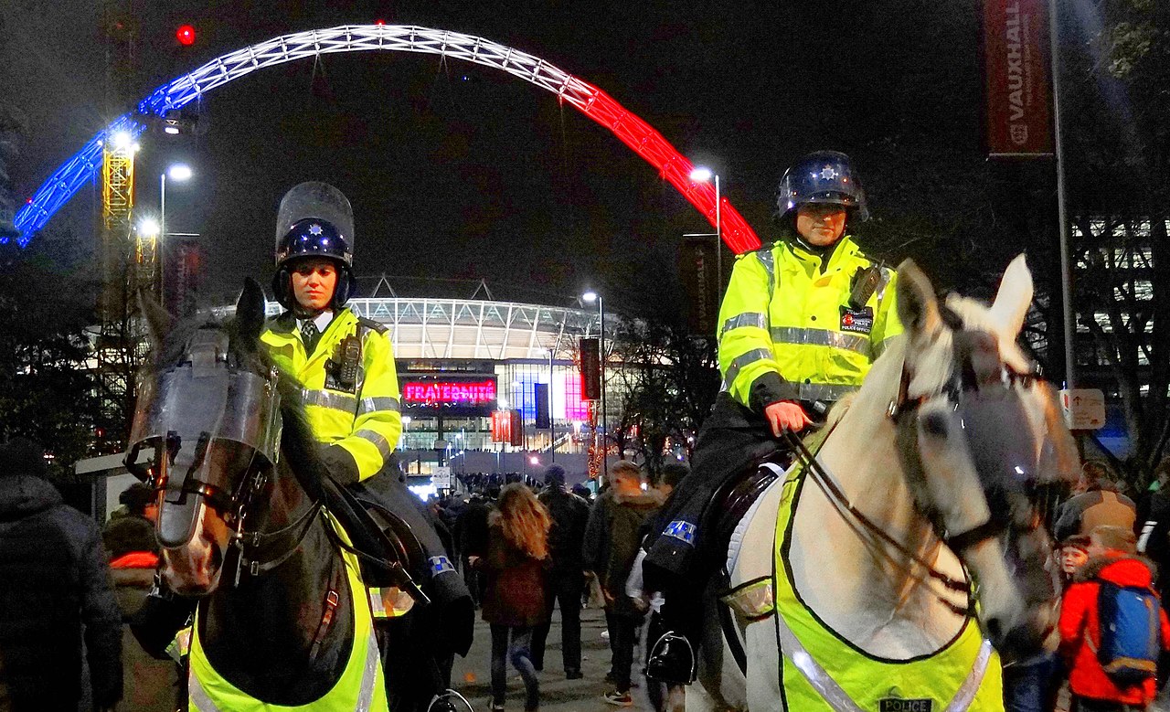 Police horses