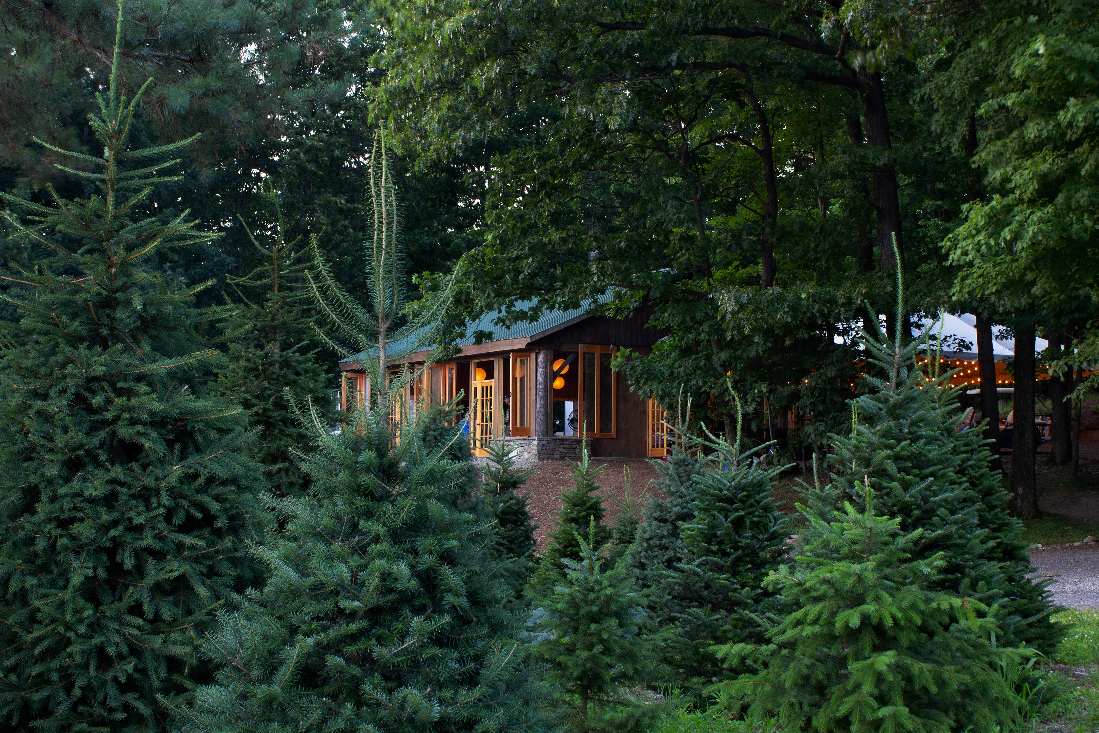 Emmerich Tree Farm New Jersey
