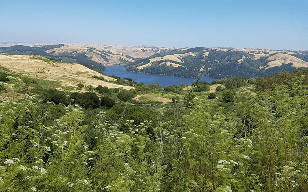 Wildcat Peak