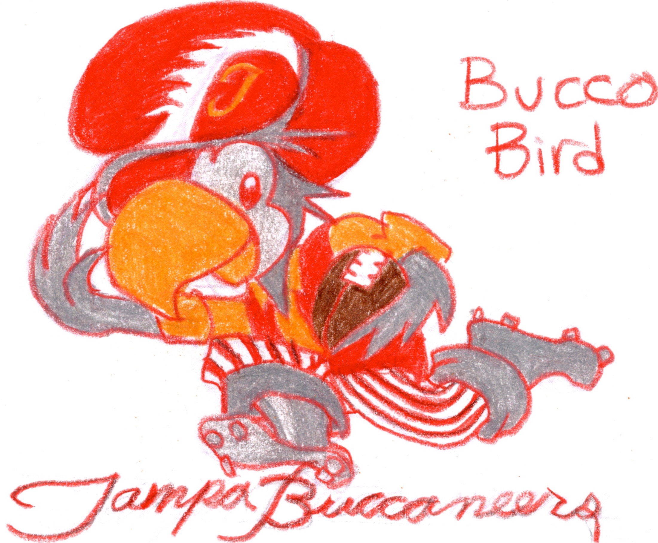 uniwatch tampa bay buccaneers redesign contest bierbaum