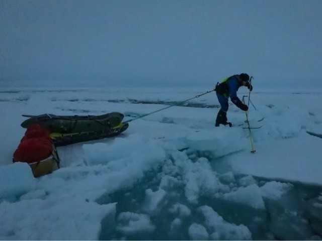 Arctic