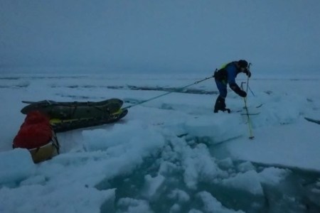 Arctic