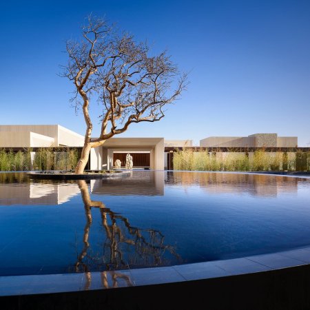 Review: The Nobu Los Cabos Brings Hollywood Glam to Baja