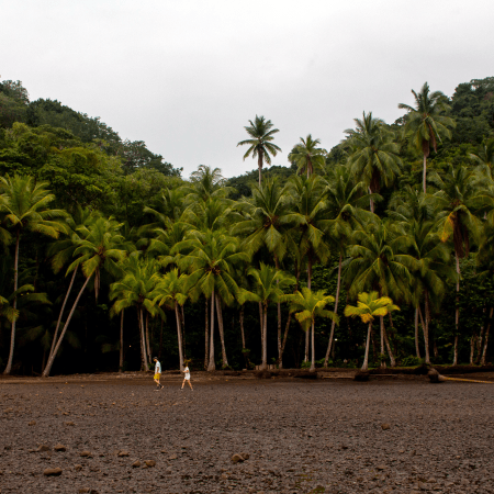 Review: Costa Rica’s Playa Cativo Is a Remote Jungle Paradise