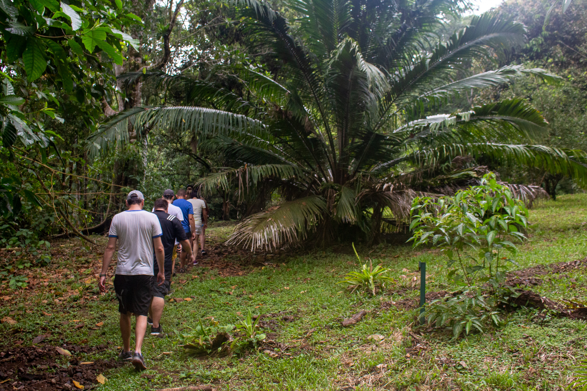 playa cativo farm nature hike