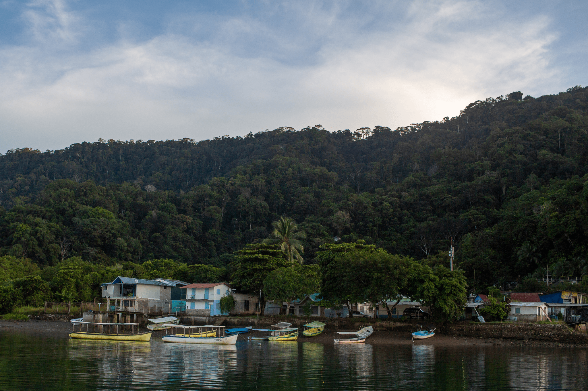 playa cativo boat ride golfito