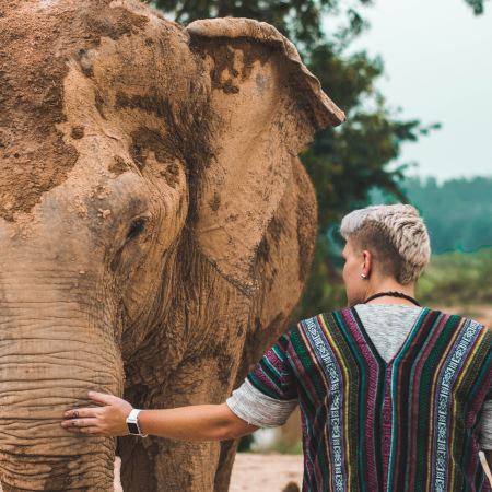 ethical elephant sanctuary thailand