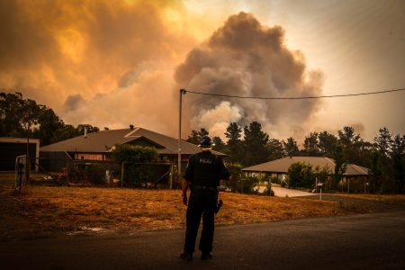 bushfire