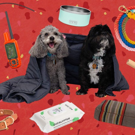 The 10 Best Gifts for Your Pets