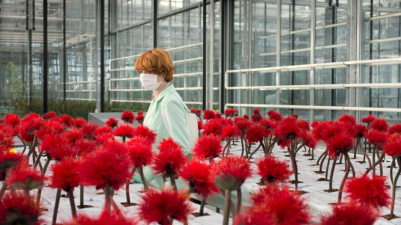 “Little Joe” Isn’t a Sci-Fi, Thriller or Horror. So What Is It?