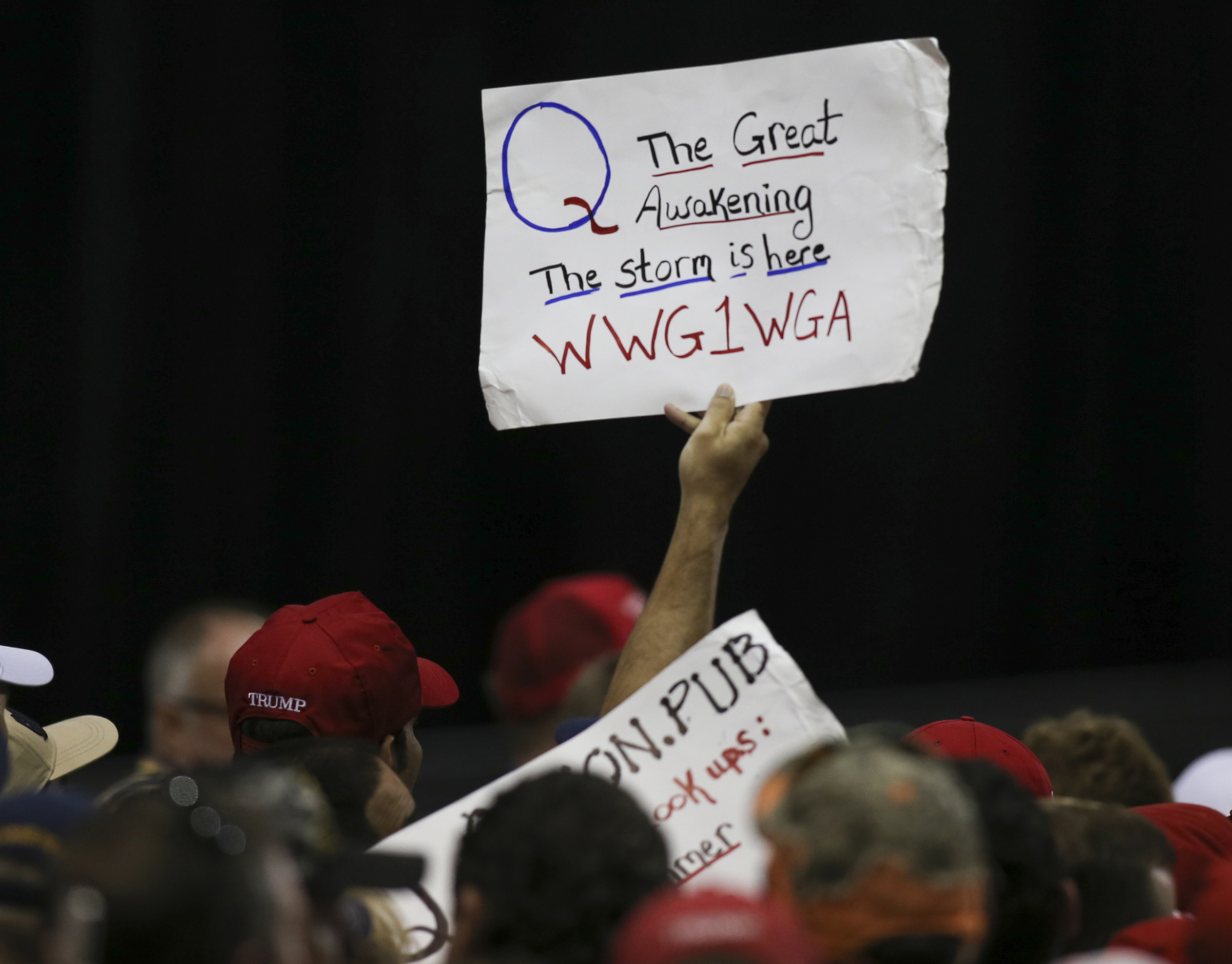 QAnon Criminal Insanity
