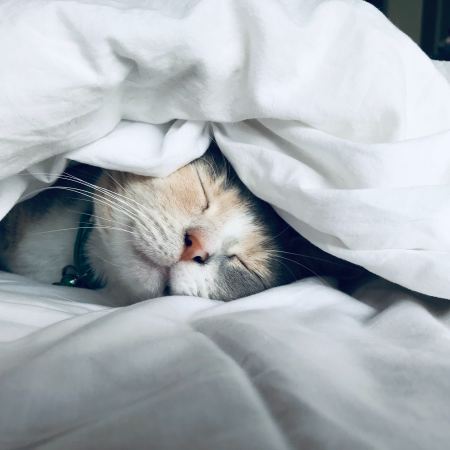 Cold temperatures are better for sleep
