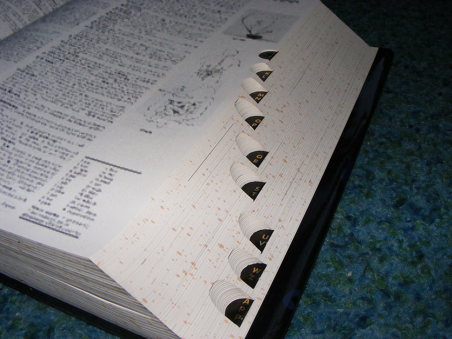 Dictionary