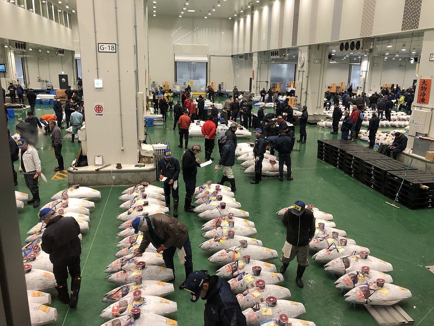 Tokyo fish market