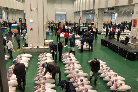 Tokyo fish market