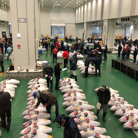 Tokyo fish market