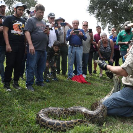 Hunters Gather In Florida Everglades To Capture Pythons In "Python Bowl"