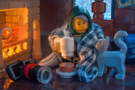 Legos for adults