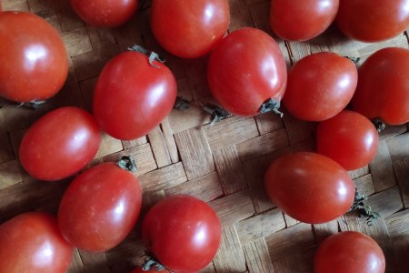 Tomatoes
