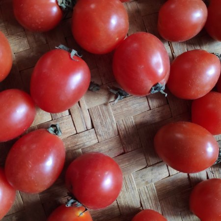 Tomatoes