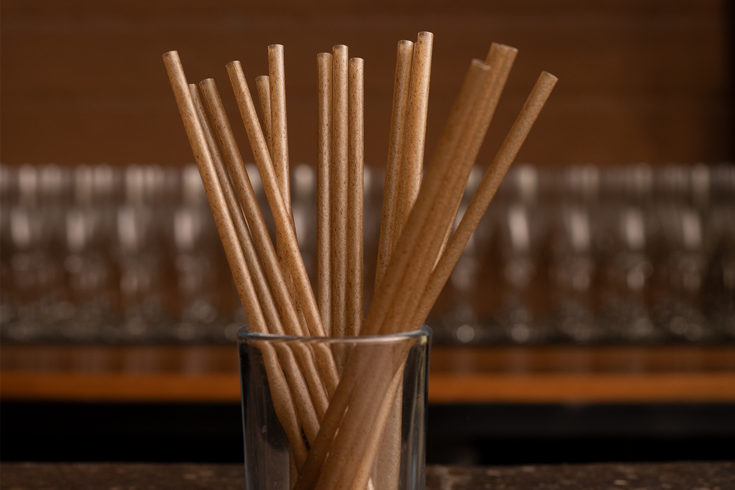 Biodegradable agave straws