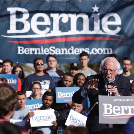 bernie supporters epstein