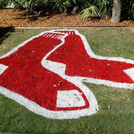 A Red Sox logo