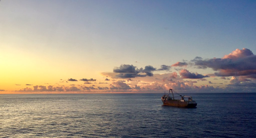MV Alta