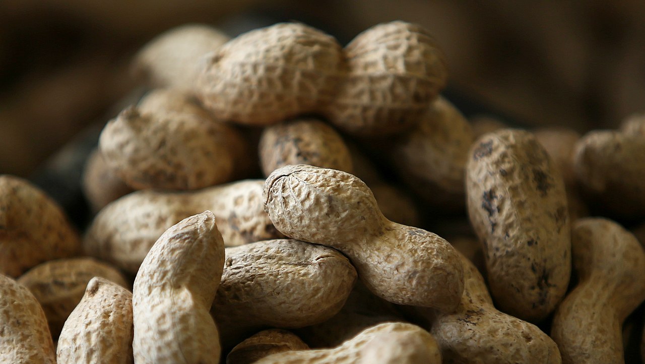 Peanuts