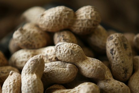 Peanuts
