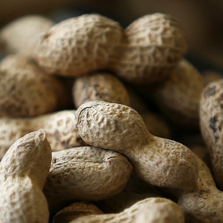 Peanuts